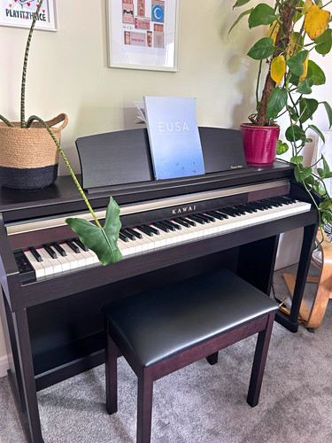 Kawai concert artist - concert,